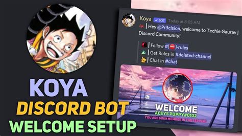 koya bot|r/Discord